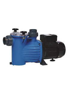 Bomba Bluflo Zodiac autoaspirante para piscina