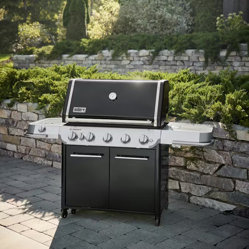 Barbacoa Weber a gas Summit FS38 E